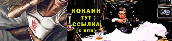 гашик Белокуриха