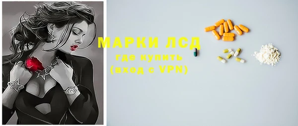 гашик Белокуриха