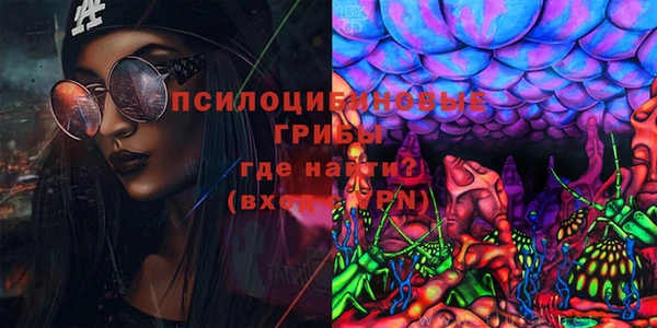 гашик Белокуриха