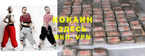 гашик Белокуриха